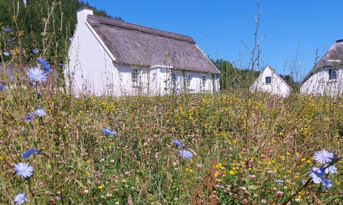 Corofin Lake Cottages Eksteriør bilde